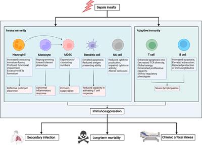 Advances in Immune Monitoring Approaches for Sepsis-Induced Immunosuppression